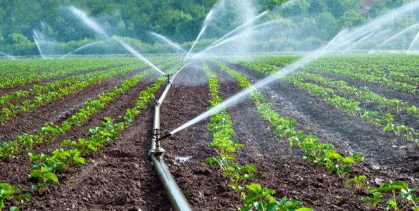 solar Iirrigation system