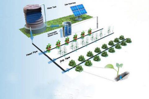solar irrigation system project pdf